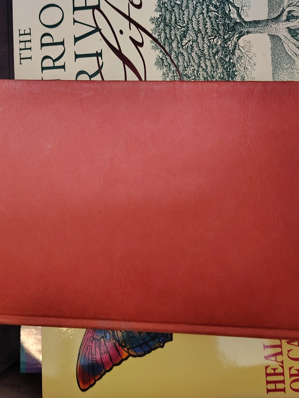 N/A premium tan